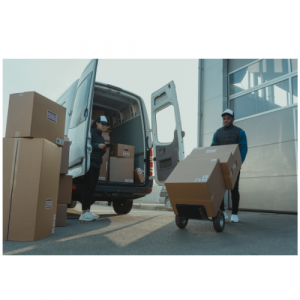 transporte